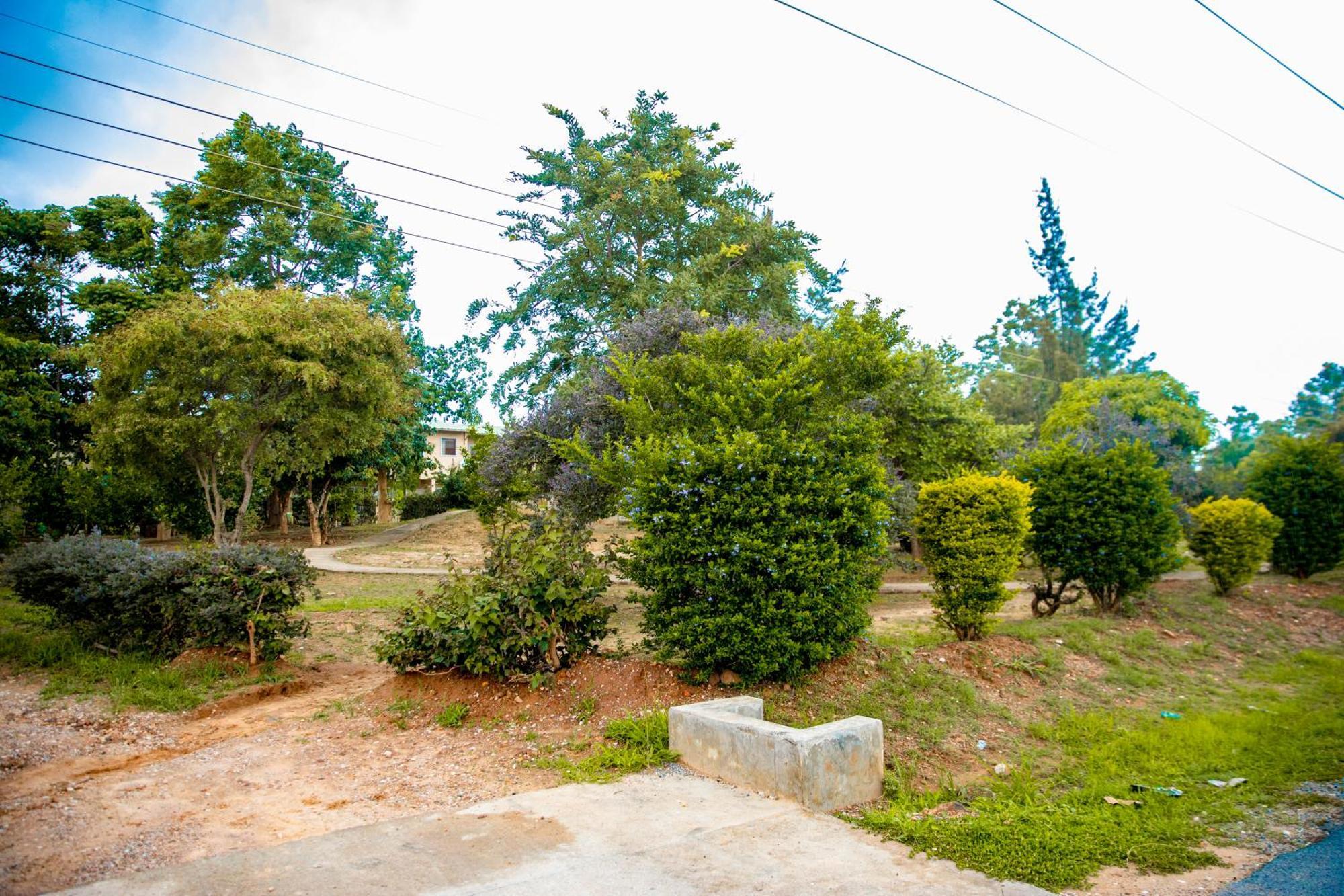 Sanctuary Aparthotel-Ac-Garden- Solar-Wi-Fi -Firepit-Park-Carport Lusaka Bagian luar foto